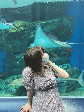 しーそるとさんのコーディネート