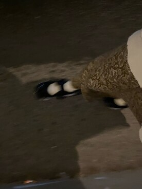 sakiさんのコーディネート