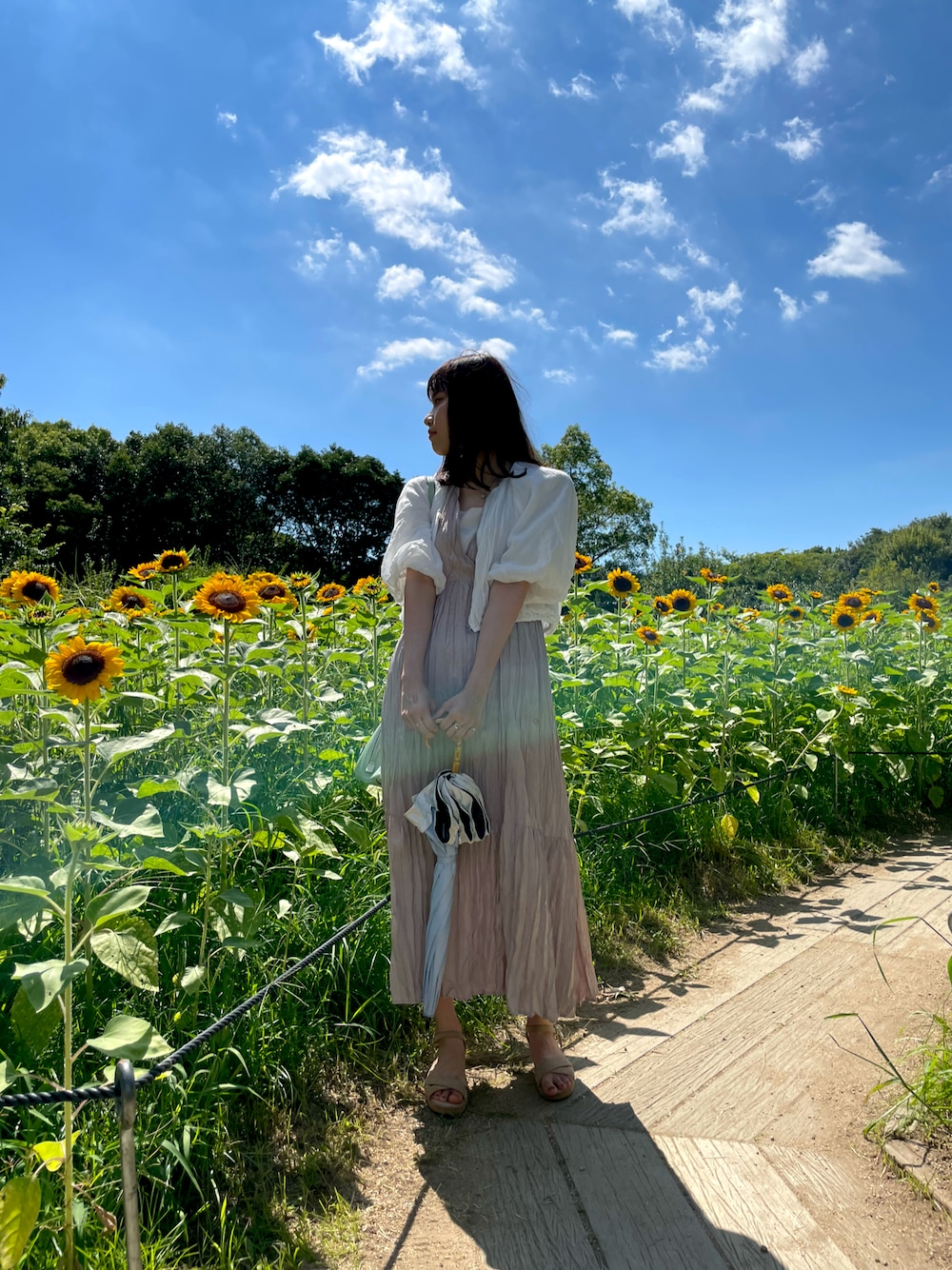 「夏コーデ、ひまわり畑、淡色コーデ、オトナ女子、大人ガーリー、オトナカワイイ、ロングワンピース、おしゃれさんと繋がりたい」｜「w closetのしわ加工バックリボンカシュクールワンピース（ワンピース、ベージュ系）」を使った、rikaさん（レディース・167cm）の夏コーディネートの1枚目の写真