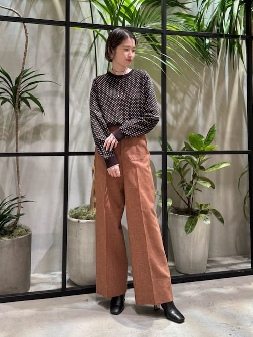 コットンカシミヤ ドットジャカードクルーネックプルオーバー（ニット