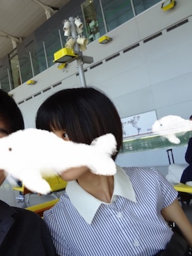 「ef-de（エフデ）のアイテム」を使った、ソノヤマさん（レディース・160cm）の夏コーディネート