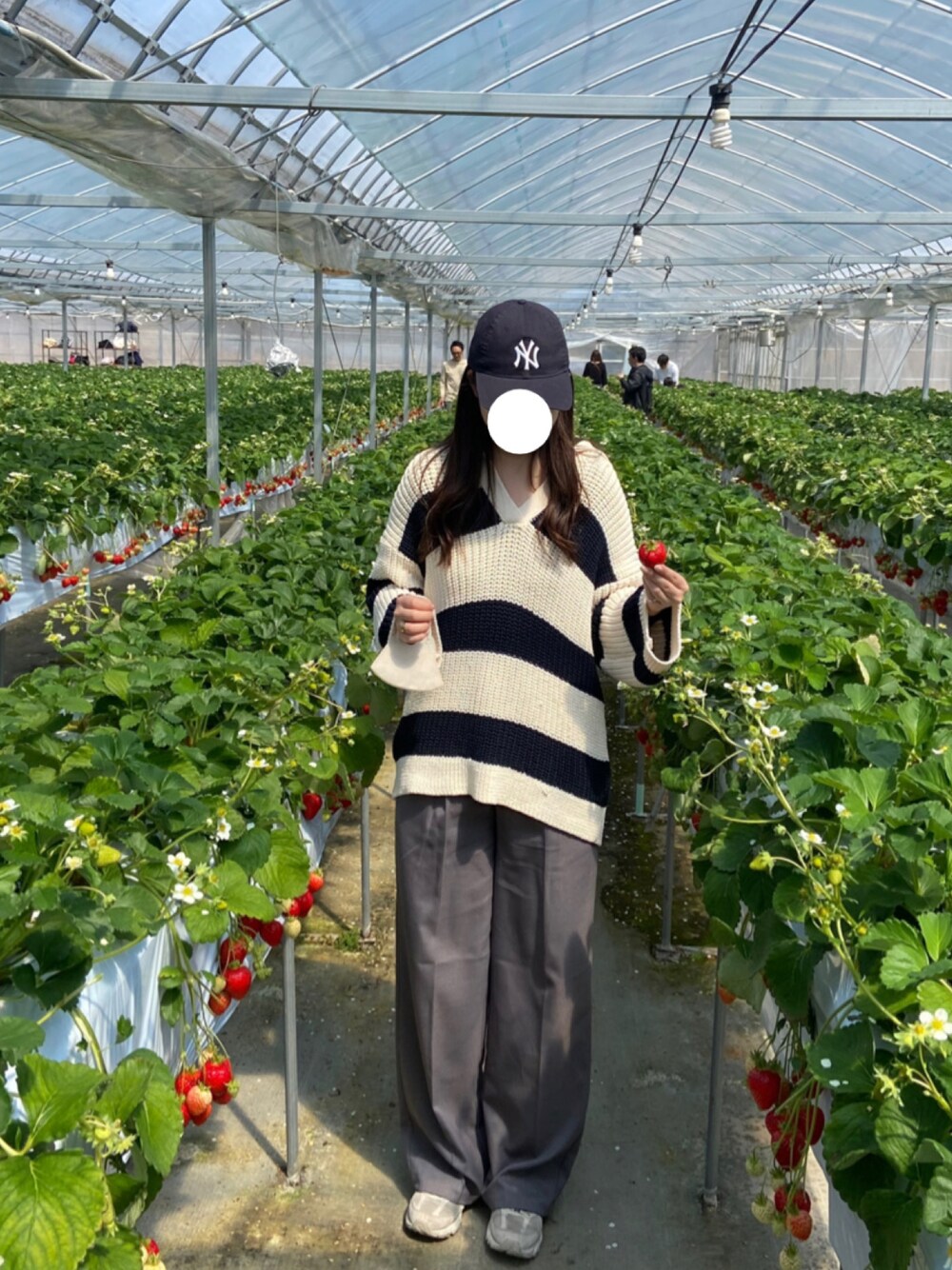 「春コーデ、グレースラックス、キャップ、イチゴ狩り」｜「GUのアイテム（パンツ、グレー系）」を使った、tu._0726さん（レディース・160cm）の春コーディネートの1枚目の写真