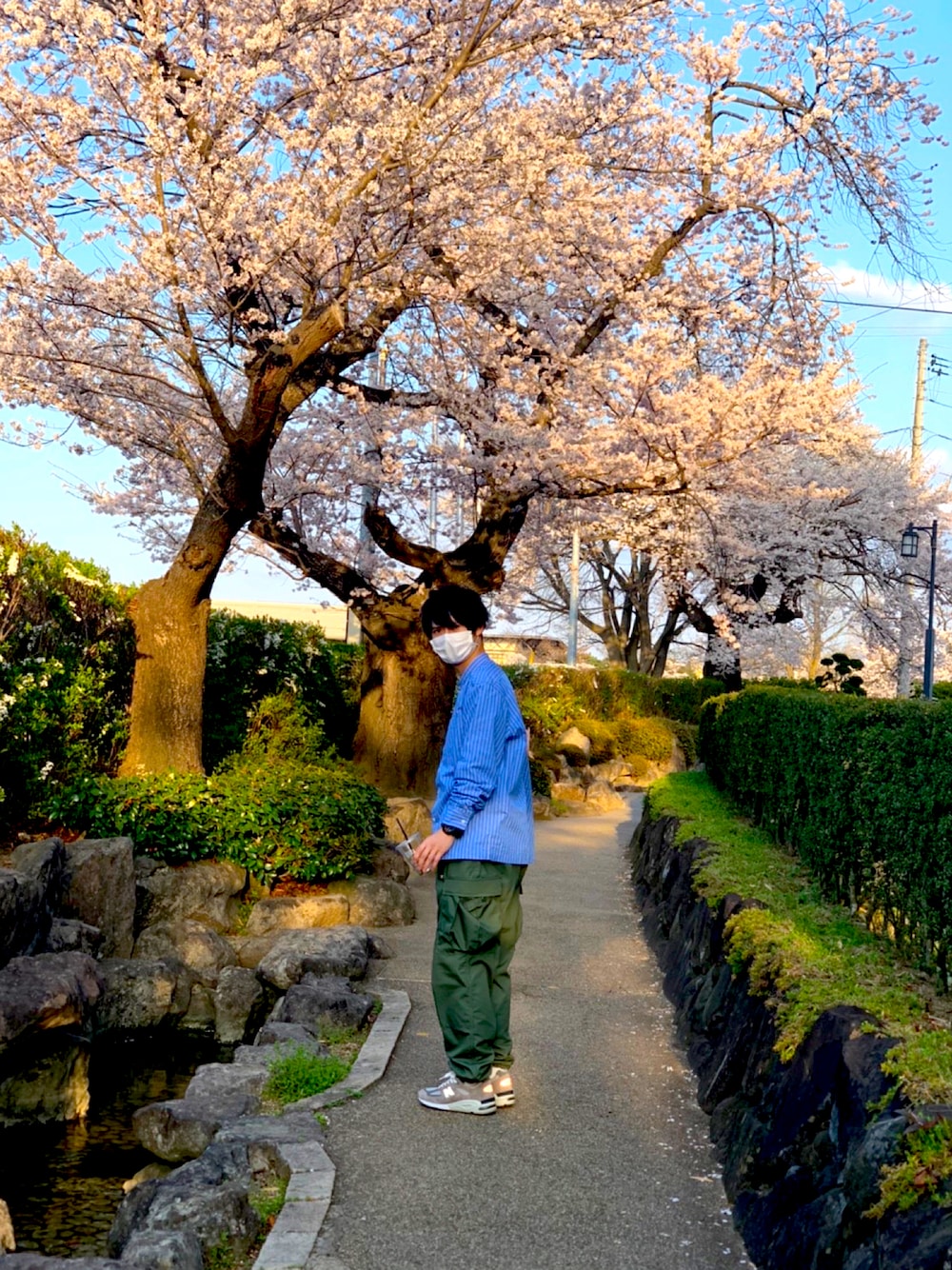 「休日スタイル、桜、花見、春コーデ、ミリタリーパンツ、スニーカー」｜「PROPPERの【Propper/プロパー】ワンウォッシュカーゴパンツ（カーゴパンツ、グリーン系）」を使った、黄瀬くんさん（メンズ・171cm）の秋コーディネートの1枚目の写真