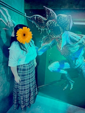 kanaeさんのコーディネート