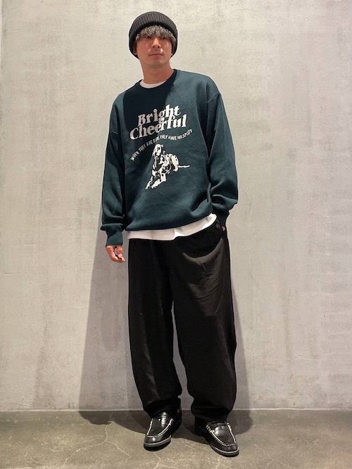 セール】アニマルダブルジャカードニットプルオーバー（ニット