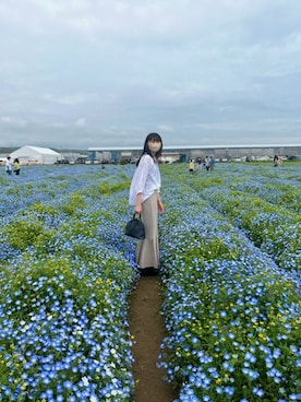 Pさんのコーディネート