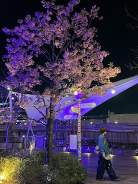 「my beautiful landlet（マイビューティフルランドレット）のアイテム（パンツ）」を使った、hi.さん（レディース・158cm）の春コーディネート