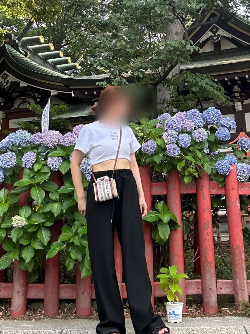 「紫陽花、クロップドTシャツ、クロップド丈、Tシャツ、白Tシャツ、スウェット、スウェットパンツ、リブパンツ、白、黒、モノトーン、スポーツサンダル、夏、アウトドアスタイル、シンプルスタイル」｜「Luamodaのアイテム（Tシャツ/カットソー、ホワイト系）」を使った、♡︎さん（レディース・151cm）の秋コーディネートの1枚目の写真