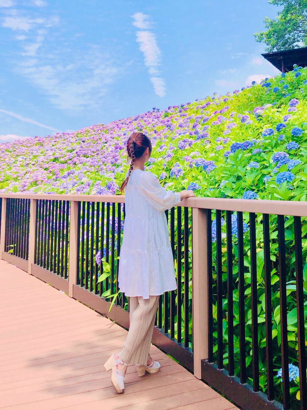 「オトナカジュアル、夏コーデ、オトナ女子、低身長、厚底サンダル、低身長コーデ、しまむら、紫陽花」｜「しまむらのアイテム（シャツ/ブラウス、ホワイト系）」を使った、aiko❤️さん（レディース・153cm）の夏コーディネートの1枚目の写真
