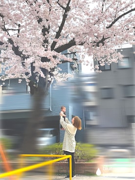 「花見コーデ」｜「アイテム（スニーカー）」を使った、ma-yan◡̈さん（レディース・154cm）の春コーディネート