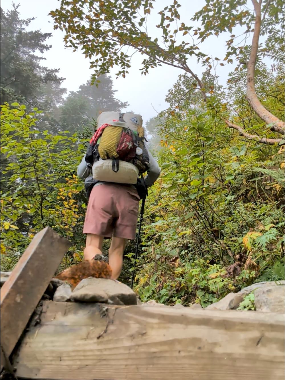 patagoniaのパンツ（ピンク系）を使った人気ファッション