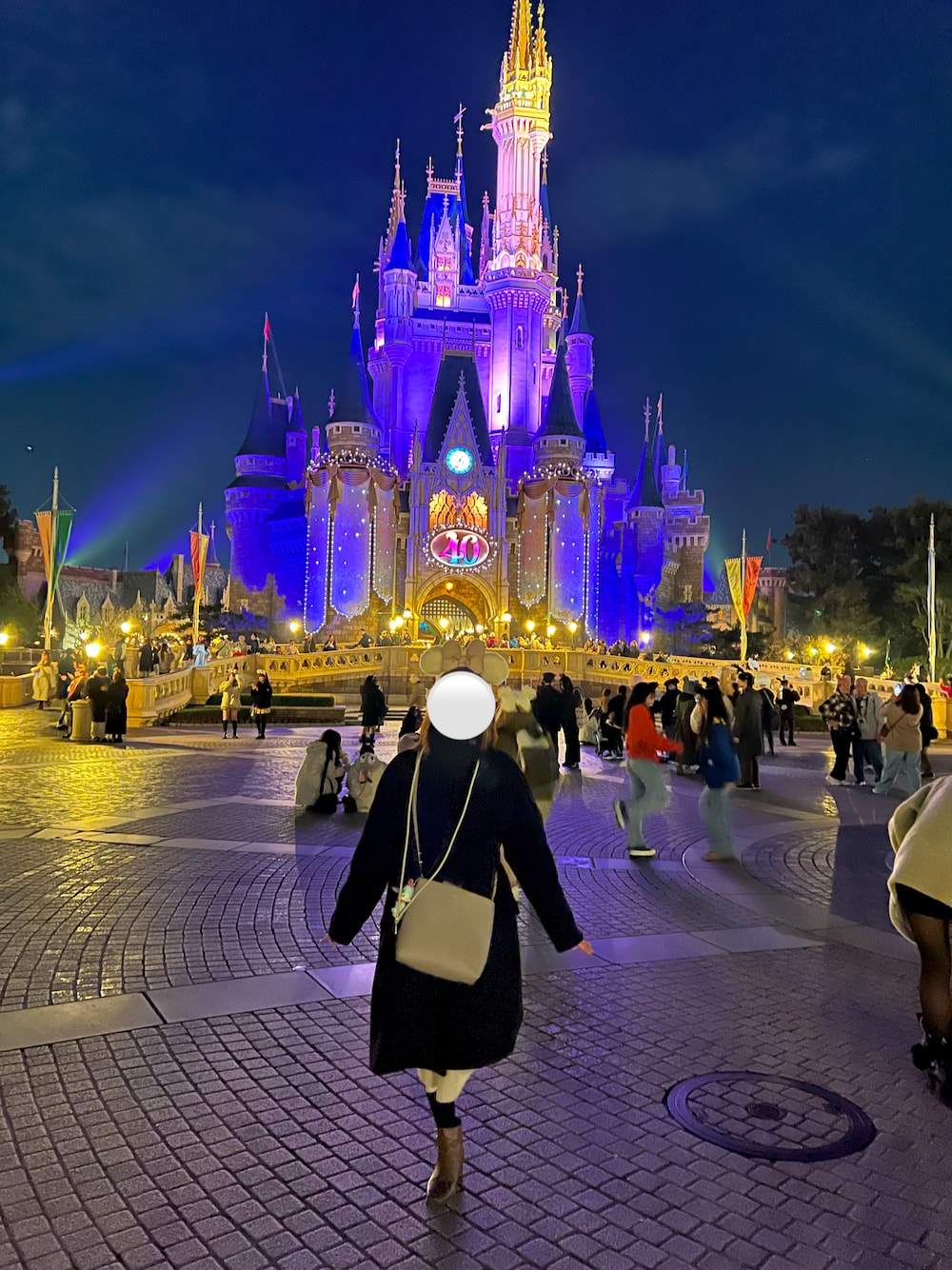 ウォルトディズニーワールド キャッスルプレイセット 新品 Disney