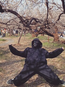 ウィンドさんのコーディネート