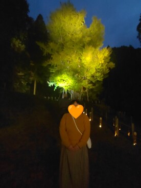 りるマダムさんのコーディネート