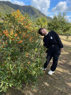 陽向芽衣さんのコーディネート