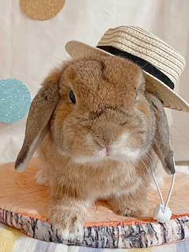 chimuchimuさんのコーディネート