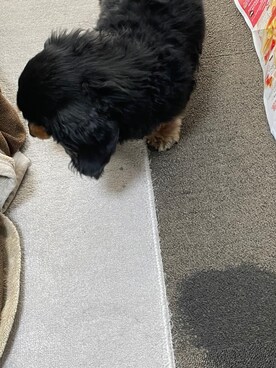 名前さんのコーディネート