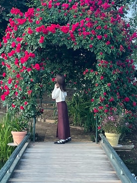 🥑さんのコーディネート