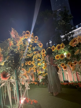 hoさんのコーディネート