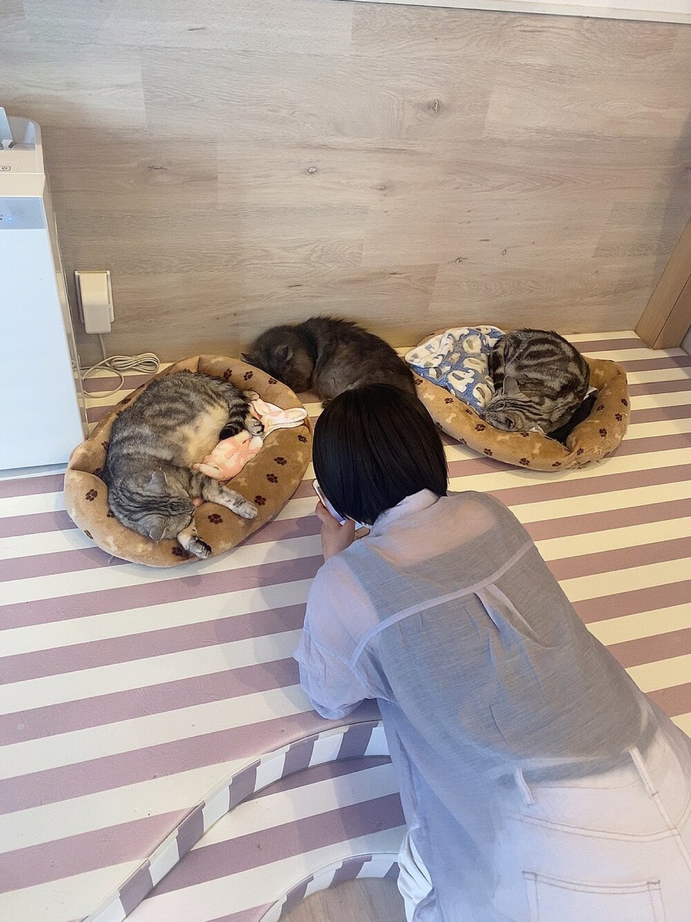 「apres jour mignonの2WAYリブタンク【ZOZOTOWN限定アイテム】（タンクトップ、ブラック系）」を使った、hoさん（レディース・154cm）の秋コーディネートの1枚目の写真