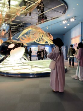 雨里学游泳的鱼さんのコーディネート