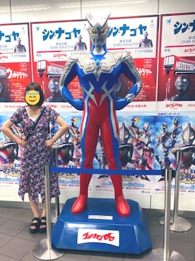 「wc JAPAN（ダブルシージャパン）のアイテム」を使った、ちゃんさん（レディース・158cm）の春コーディネート