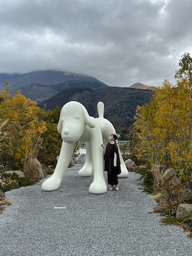 「LOWRYS FARM（ローリーズファーム）のストレッチヒールブーツ　851418（ブーツ）」を使った、hal_____88さん（レディース・152cm）の冬コーディネート