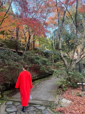 hal_____88さん（レディース・152cm）の秋コーディネート