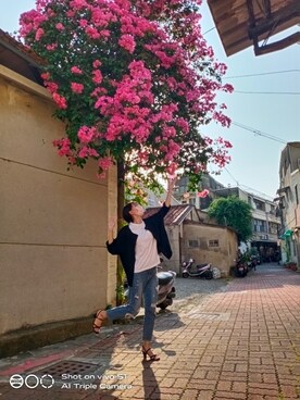 莊凱芩さんのコーディネート