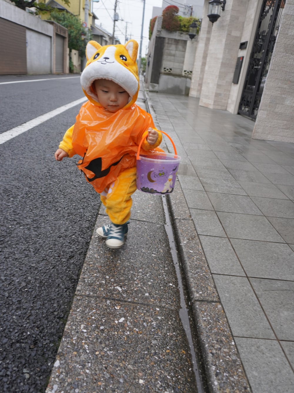 「wearhalloween2021、キッズコーデ、ハロウィン、ハロウィンコーデ、仮装、こどもコーデ、コスプレ、男の子、1歳、80cm、柴犬、柴犬コーデ、赤柴、柴犬大好き、柴犬がいるおうち」｜「CONVERSEのアイテム（スニーカー、グリーン系）」を使った、tao2020さん（キッズ・80cm）の秋コーディネートの1枚目の写真