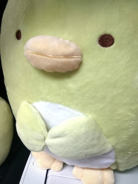 「気合い」｜すみっコぐらし(仮病)さん（メンズ・175cm）の春コーディネート