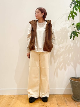 「GYMPHLEX（ジムフレックス）のGYMPHLEX　BOA HOODED VEST（その他アウター）」を使った、すぎやまめぐみさん（レディース・163cm）の秋コーディネート