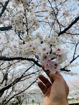 「uniform experiment（ユニフォームエクスペリメント）のアイテム」を使った、GOODMAN®️さん（メンズ・168cm）の春コーディネート