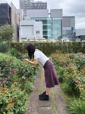 「sedacle（セダクル）のアイテム」を使った、りりらてさん（レディース・156cm）の夏コーディネート
