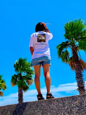 bさんのコーディネート