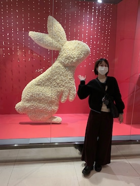 もう🐈さん(レディース・162cm)の冬コーディネート