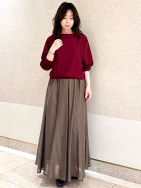 「MK MICHEL KLEIN（エムケーミッシェルクラン）の[洗える]シアーストライプスカート（スカート、ブラウン系）」を使った、MKミッシェルクランさん（レディース・153cm）の秋コーディネート