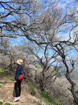 Edenさんのコーディネート