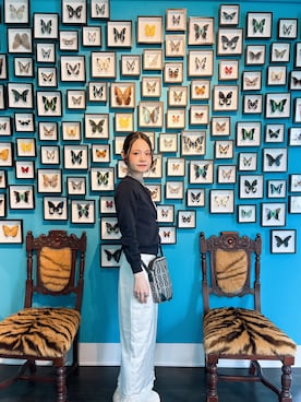 「ANNA SUI（アナスイ）のアイテム（バッグ）」を使った、harukaさん（レディース・156cm）の秋コーディネート