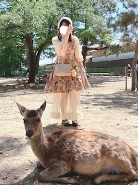 あか さたなさん(レディース・162cm)の夏コーディネート