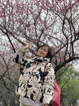 「MK MICHEL KLEIN（エムケーミッシェルクラン）のアイテム」を使った、九降风 さん（レディース・167cm）の秋コーディネート