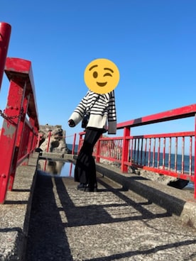 「Auntie Rosa Holiday（アンティローザホリデー）のアイテム（ニット/セーター）」を使った、Ａ.Ｙさん（レディース・162cm）の冬コーディネート