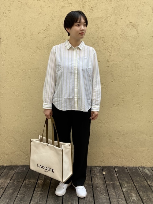 LACOSTE ブラウス シャツ ジャージニットストライプシャツ