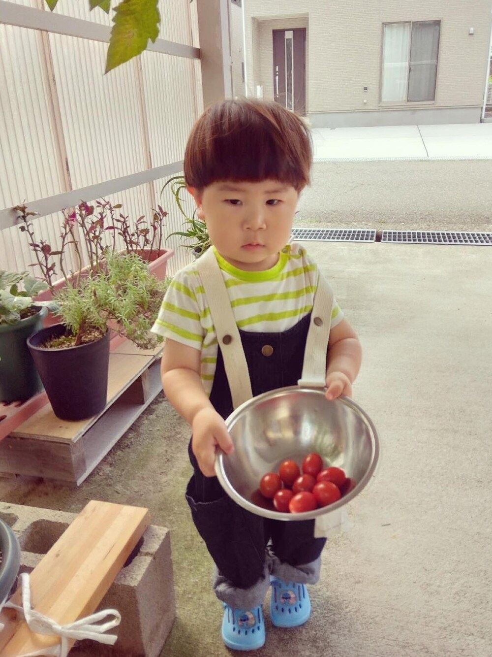 グリーン系のTシャツ/カットソー、ブルー系のサロペット/オーバーオール、その他のその他を着用したキッズの夏コーディネートの1枚目の写真