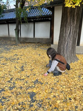 ぱぴぷさん（レディース・152cm）の春コーディネート