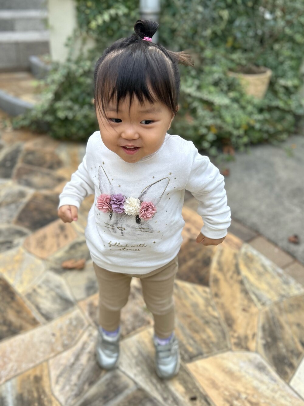 4261【希少ディティール】ニードルス☆スウェット地人気カラージャケット　美品 4261【希少ディティール】ニードルス☆スウェット地人気カラー