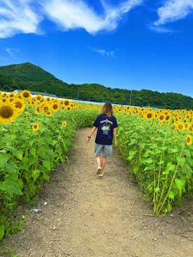 「アイテム（Tシャツ/カットソー）」を使った、星✰*ﾟさん（レディース・164cm）の夏コーディネート