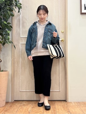 「Airpapel（エアパペル）のアイテム」を使った、namislrさん（レディース・161cm）の冬コーディネート