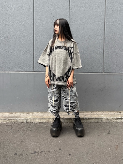 DankeSchon CHEMICAL S/S TEE PALINDORMES グレー Tシャツ DankeSchon/ダンケシェーン/CHEMICAL S/S TEE PALINDORMES（T