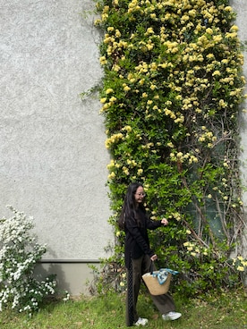 「ADORE（アドーア）のアイテム」を使った、adahyanさん（レディース・159cm）の春コーディネート